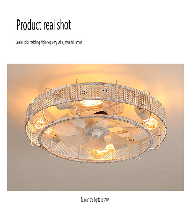 Ceiling Fan Light Manufacturer and Supplier