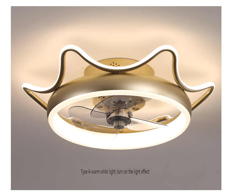 ceiling fan light Chinese manufacturer