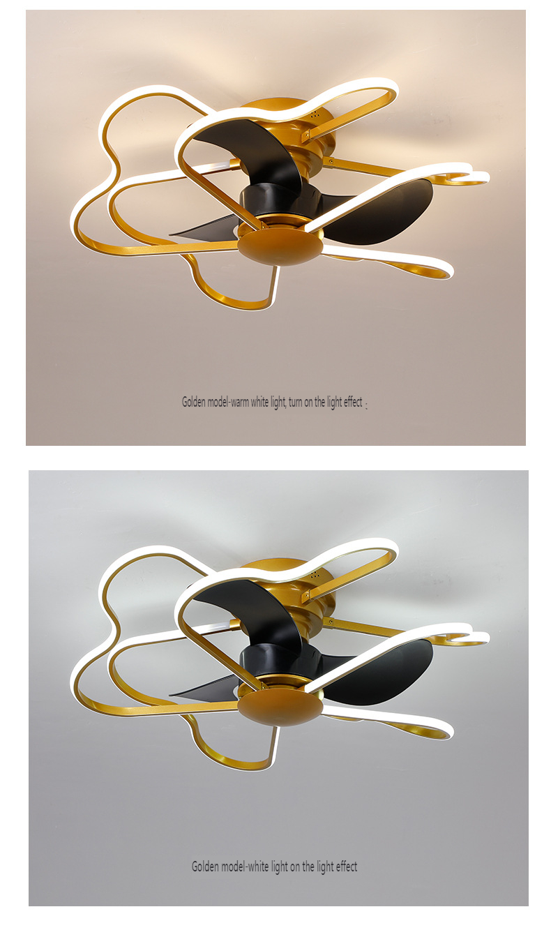 Remote control ceiling fan light