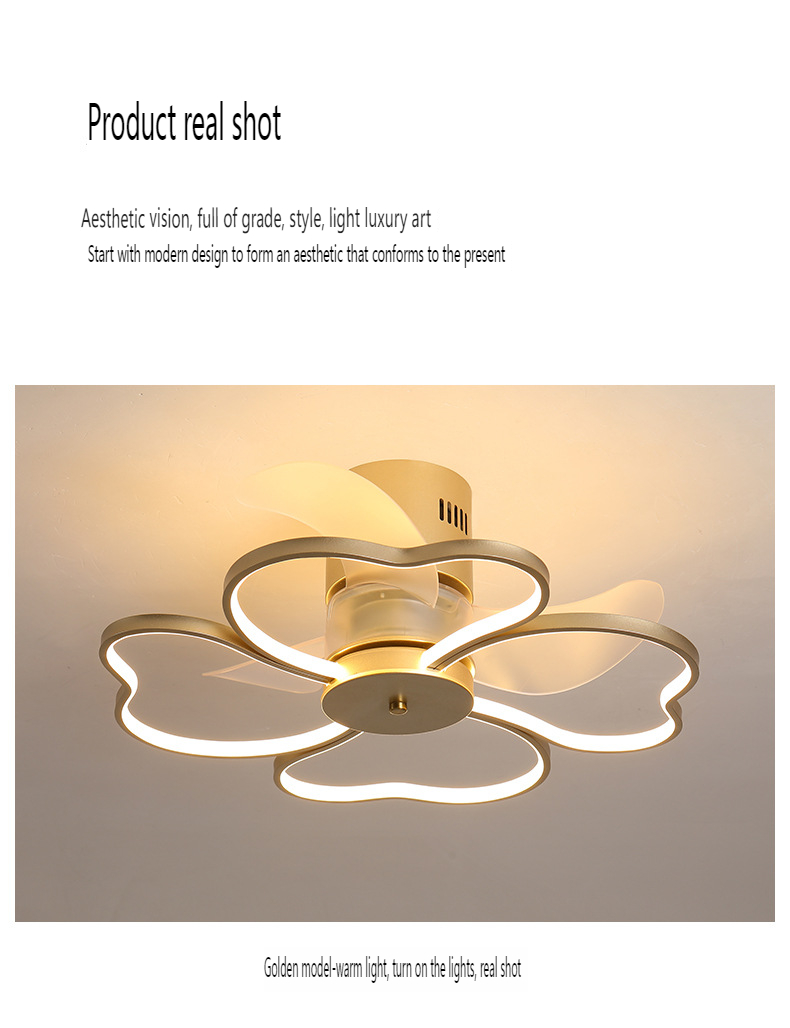 LED Ceiling Mounted Fan