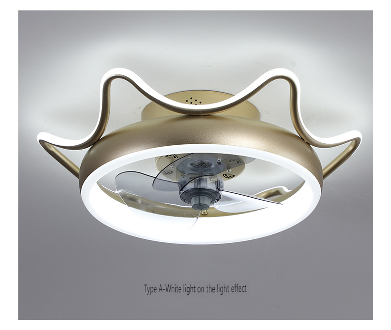 ceiling fan light Chinese manufacturer