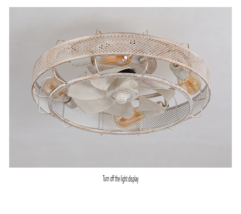 Ceiling Fan Light Manufacturer and Supplier