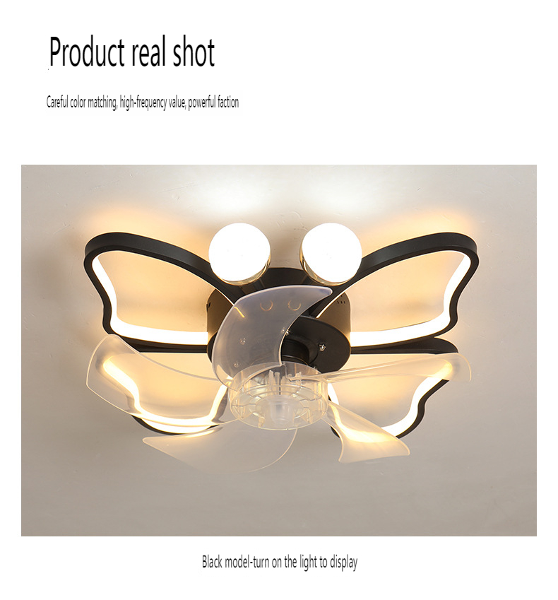 Blace ceiling fan