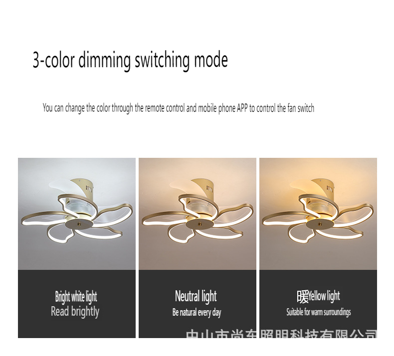 smart Led ceiling fan