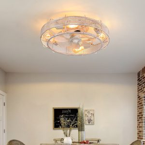 Ceiling Fan Light Manufacturer and Supplier