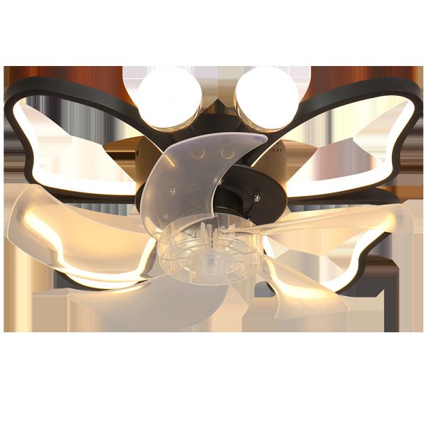 Blace ceiling fan