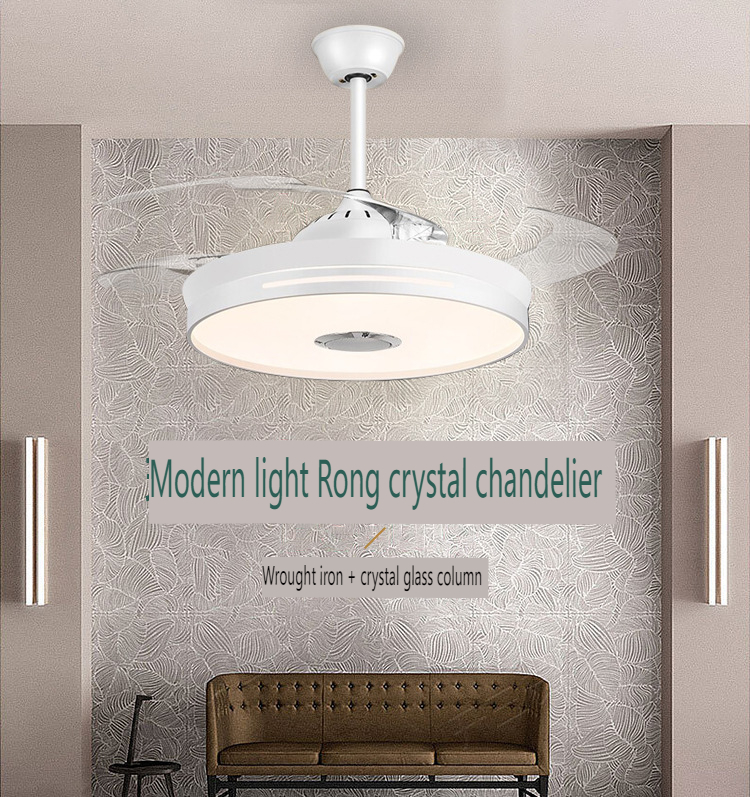 OEM & ODM Modern Ceiling Fan Light for Living Room