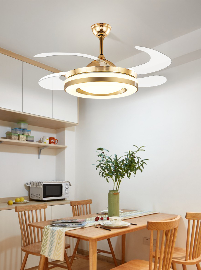 Summer Ceiling Fan with LED Light