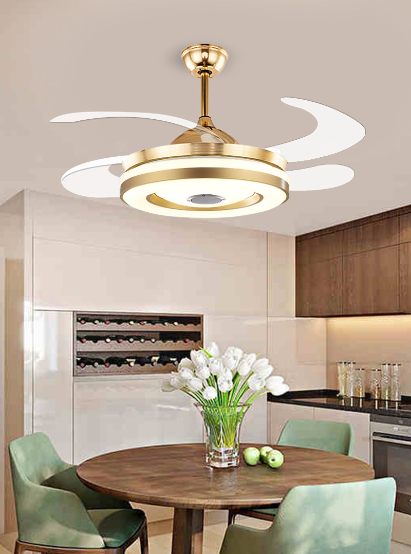 Summer Ceiling Fan with LED Light