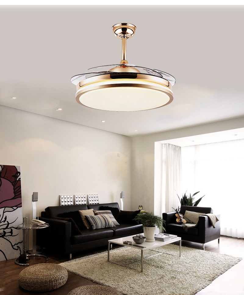 Retractable Blade Ceiling Fan Light