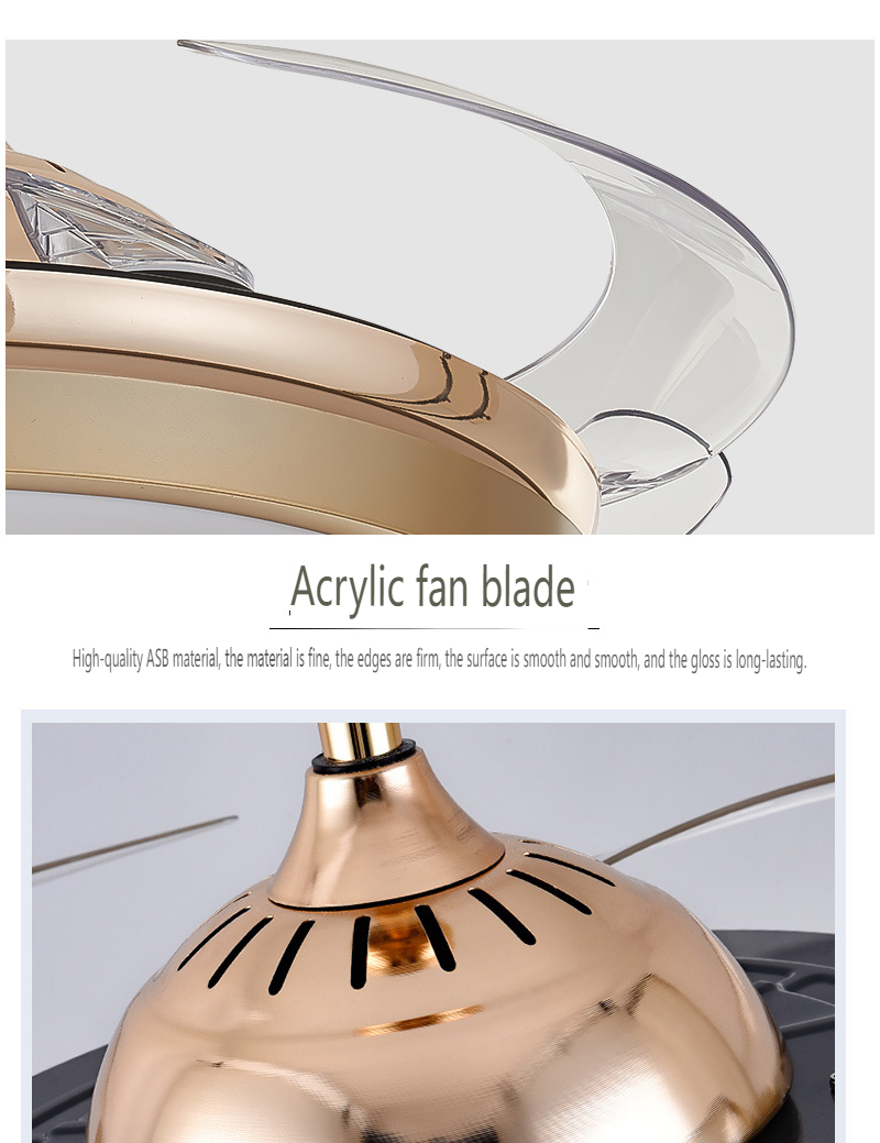 Customizable Fan Light from Chinese Manufacturer