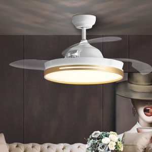 Customizable Minimalist Fan Light